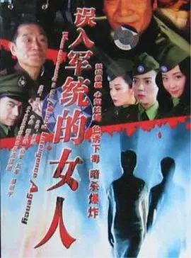 误入军统的女人 海报