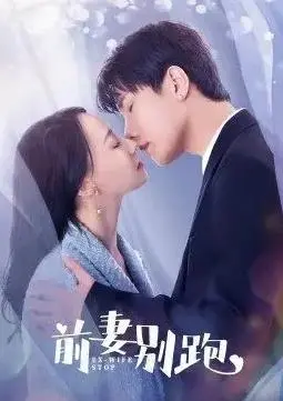 《前妻别跑》：离婚后的爱情追逐战，爆笑又感人的情感喜剧