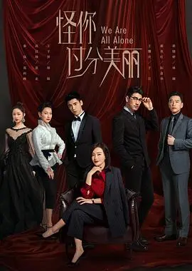 怪你过分美丽 海报