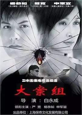 大案组 海报