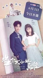 当个大小姐真难 海报