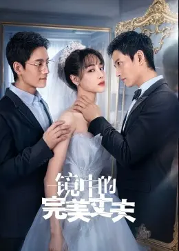 镜中的完美丈夫 海报
